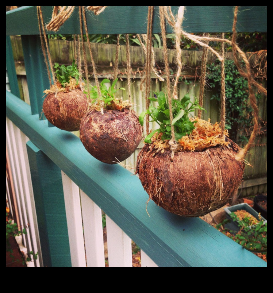 Revoluția nucă de cocos DIY: Dezlănțuiți-vă creativitatea în meșteșugurile tropicale